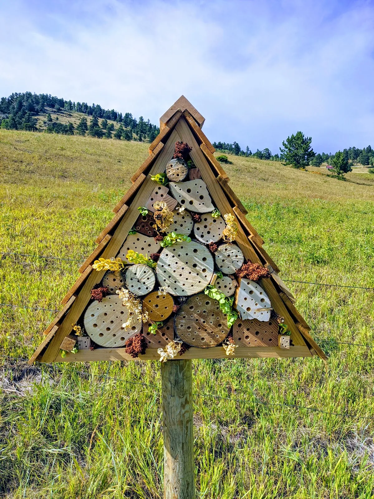 Project image enlarged