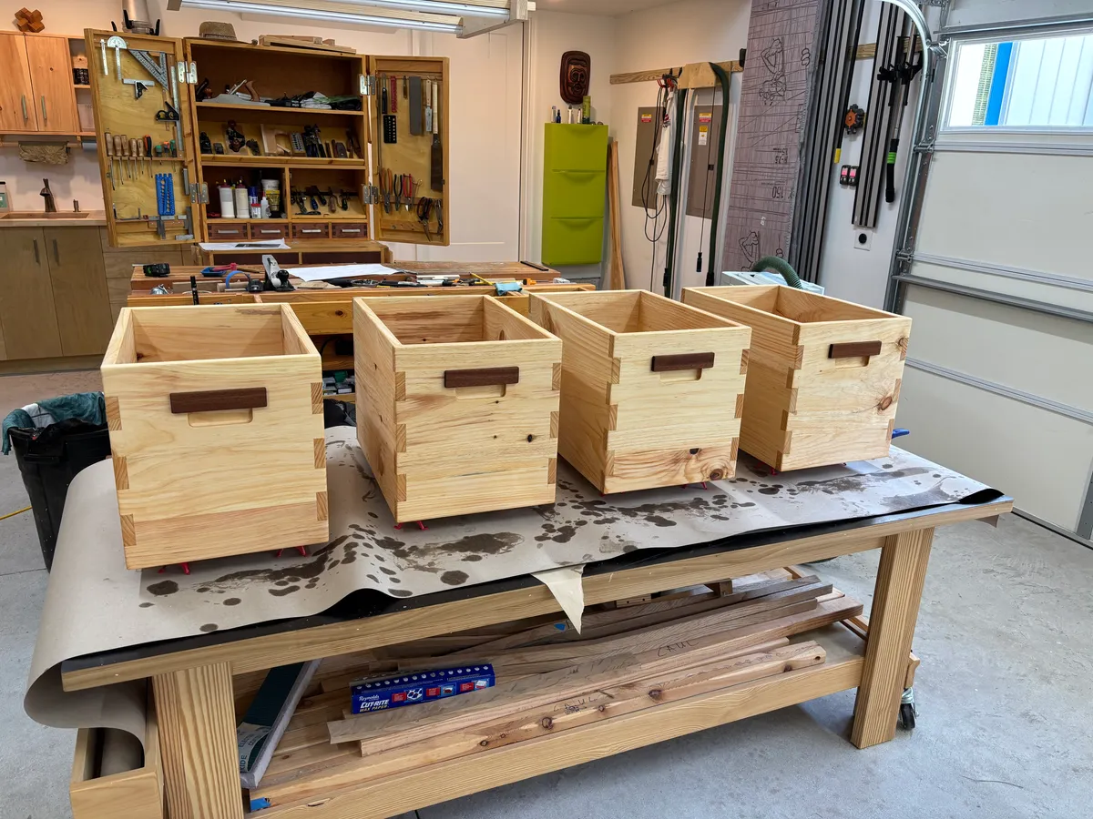 Project image enlarged